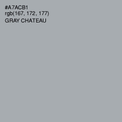 #A7ACB1 - Gray Chateau Color Image